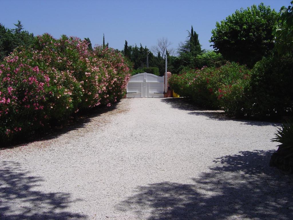 Le Mas Du Bijou Bleu Puget-sur Argens Bilik gambar